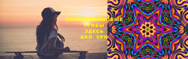 гашик Бронницы
