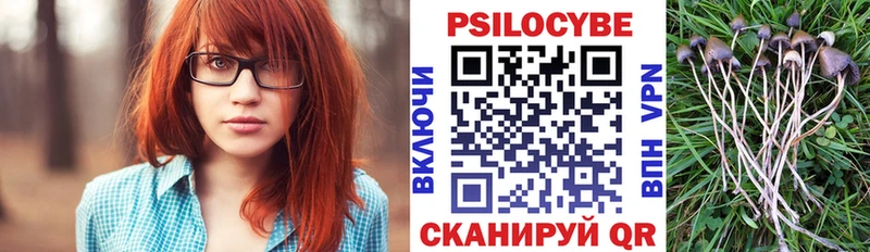 Галлюциногенные грибы Cubensis  закладки  кракен вход  Вихоревка 